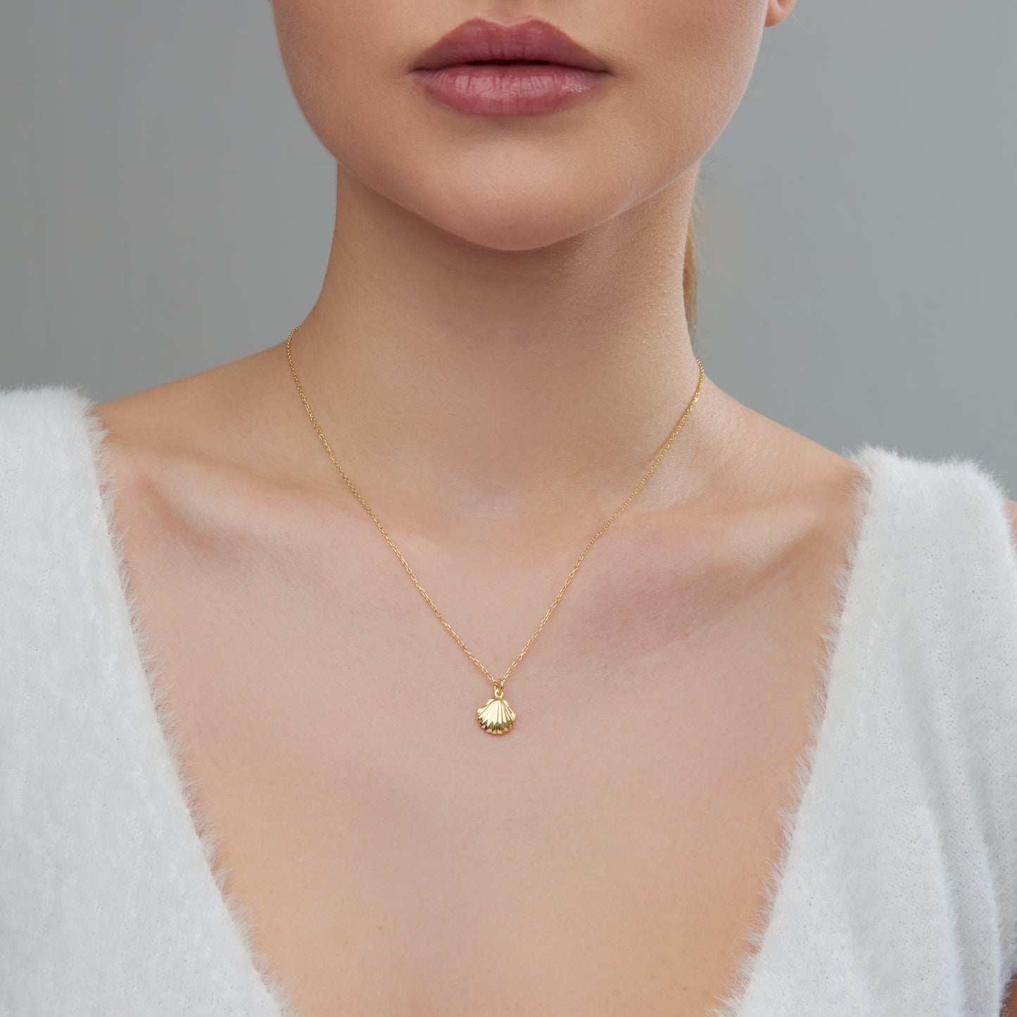 Seashell Necklace