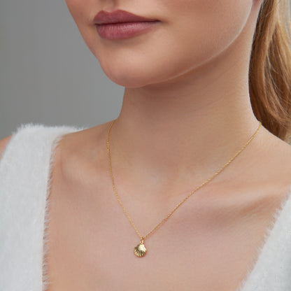 Seashell Necklace