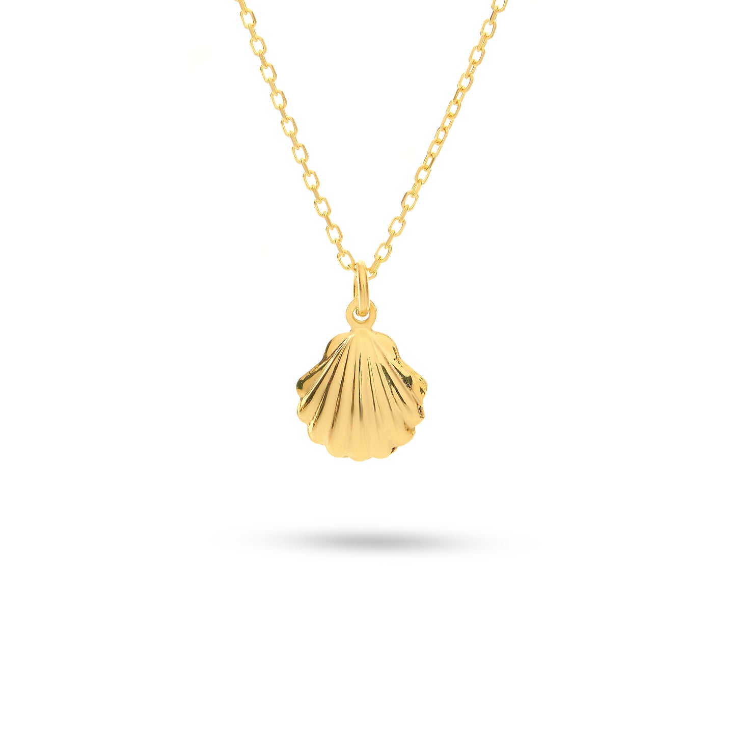 Seashell Necklace