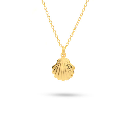 Seashell Necklace